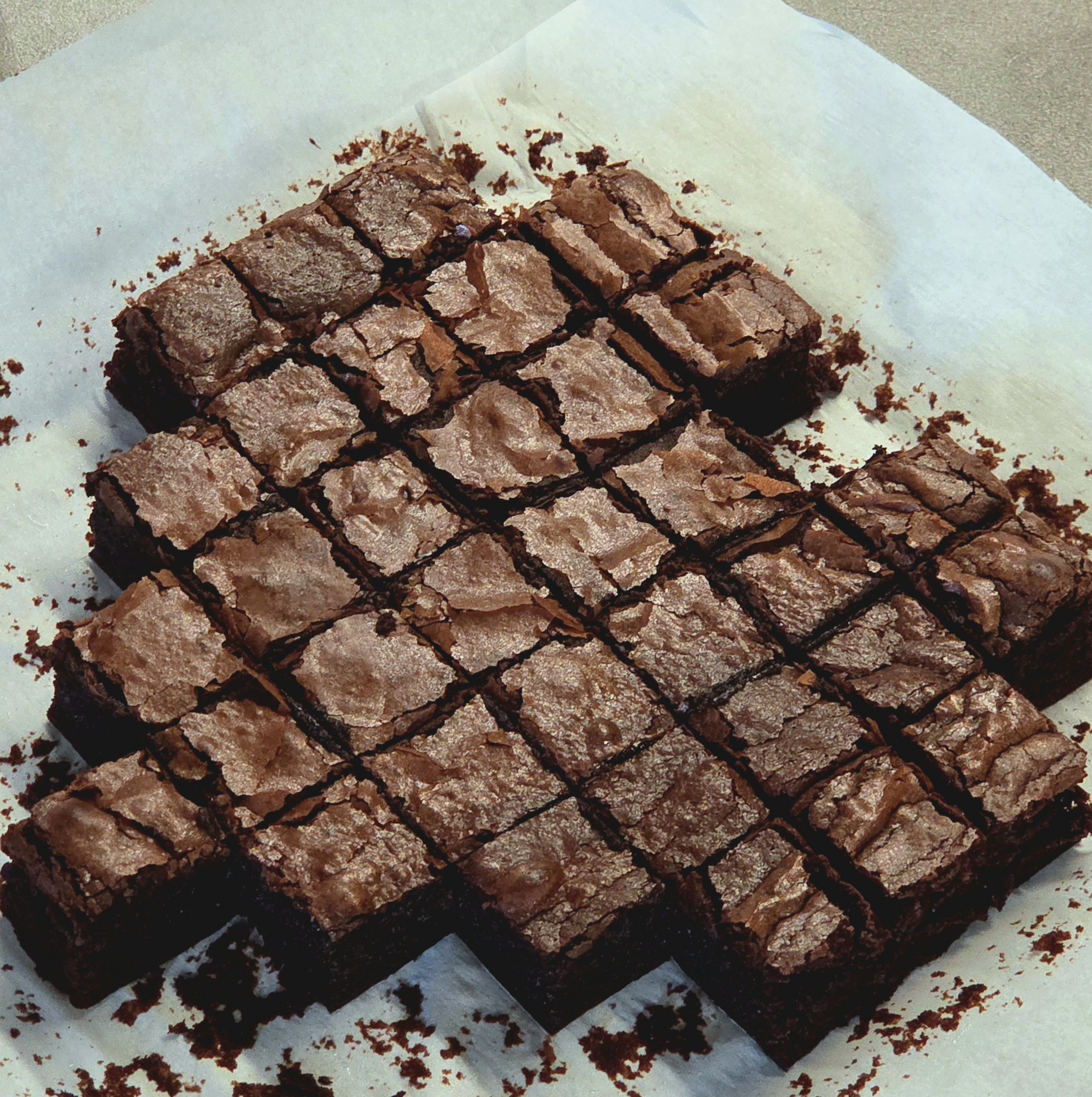 Fudging Fudgy Brownies